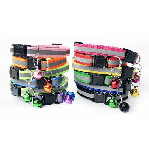 Safety Casual Nylon Dog Collar