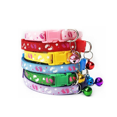 Safety Casual Nylon Dog Collar