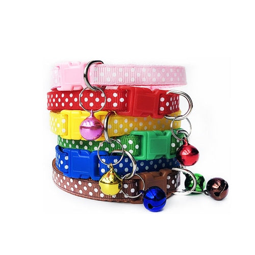 Safety Casual Nylon Dog Collar