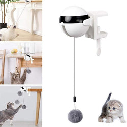 Automatic Lifting Cat Toys